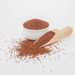 Finger millet (Ragi)